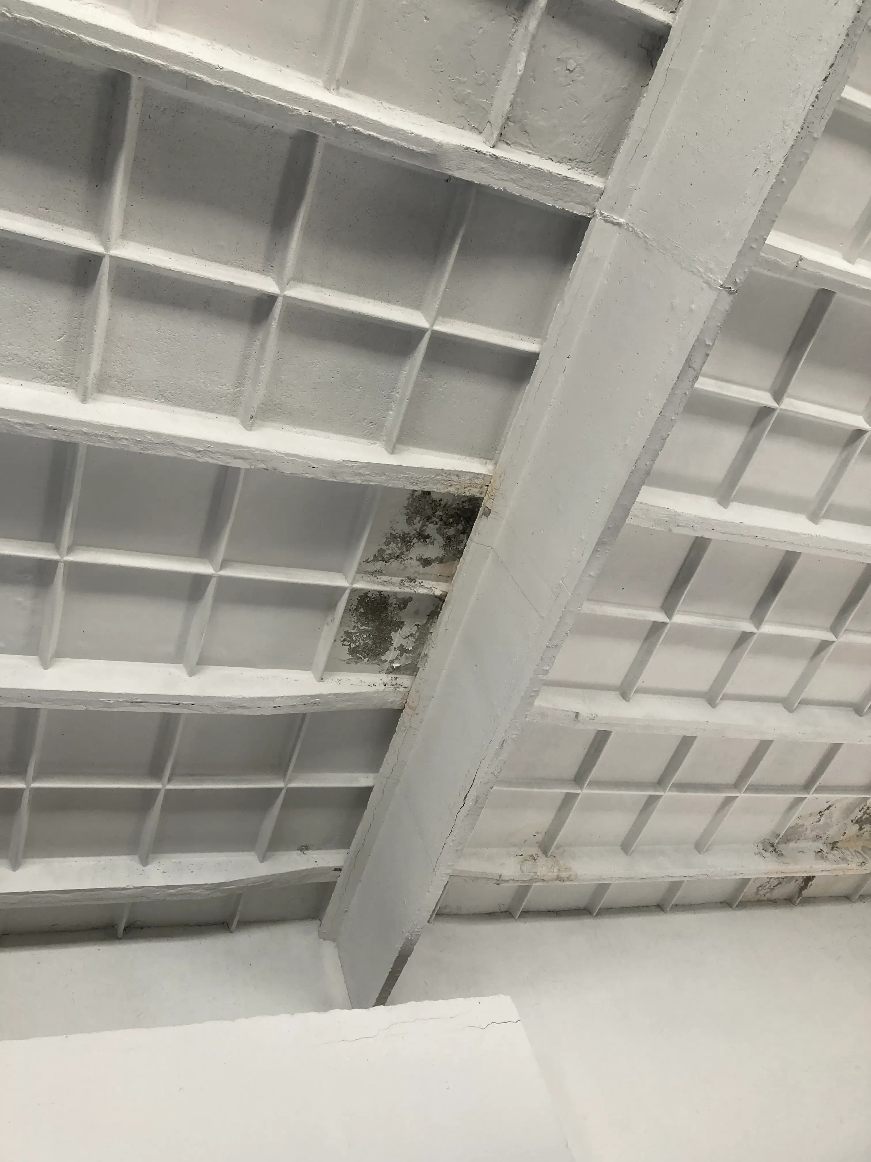 Zameranie skutkového stavu